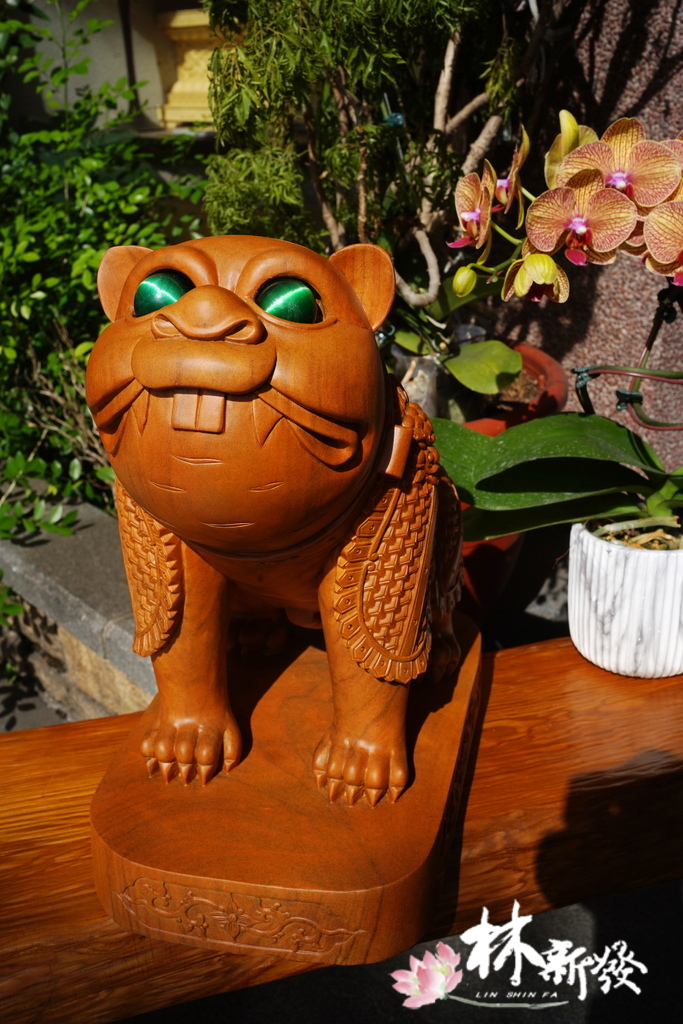 戰神小虎-005.JPG