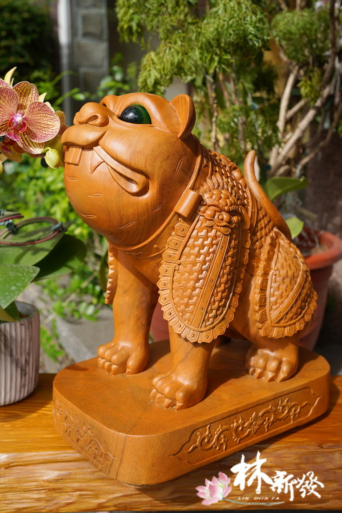 戰神小虎-006.JPG