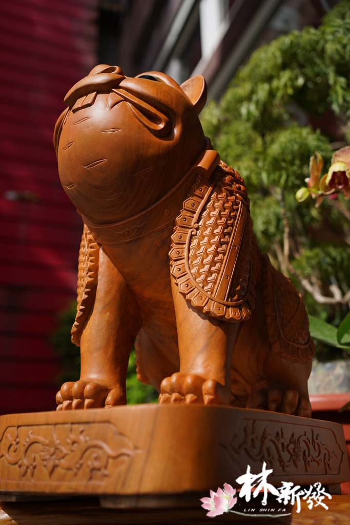 戰神小虎-002.JPG