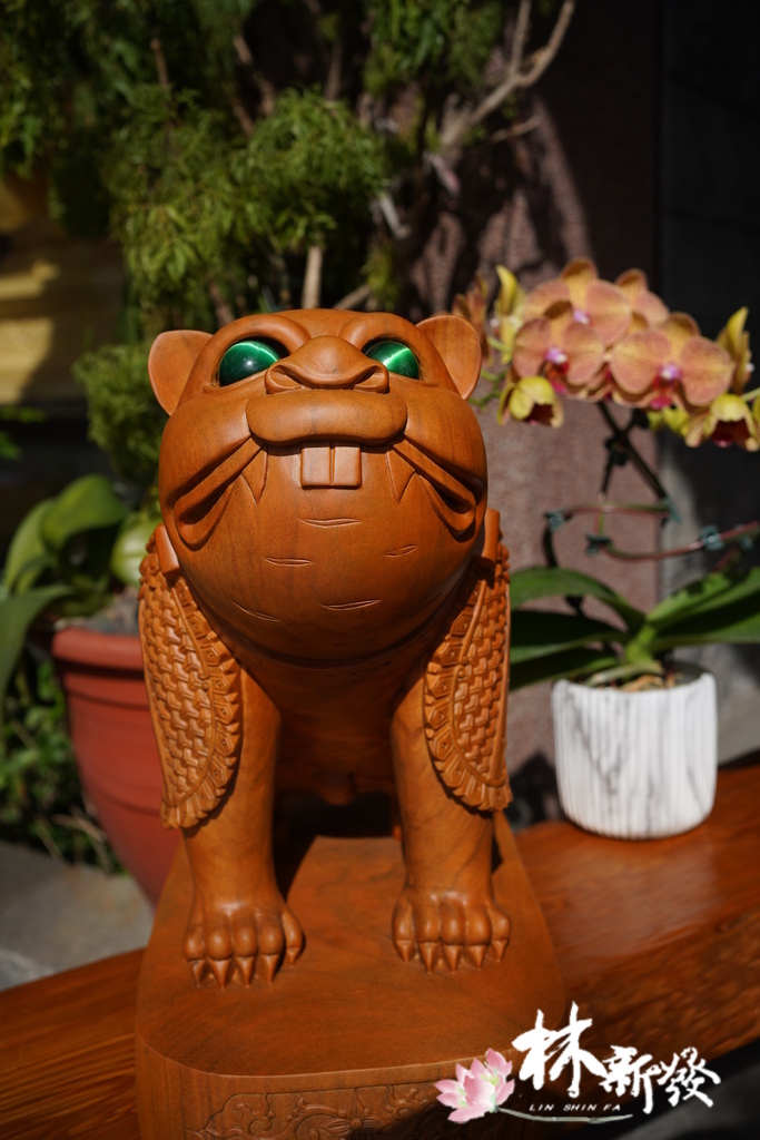 戰神小虎-009.JPG