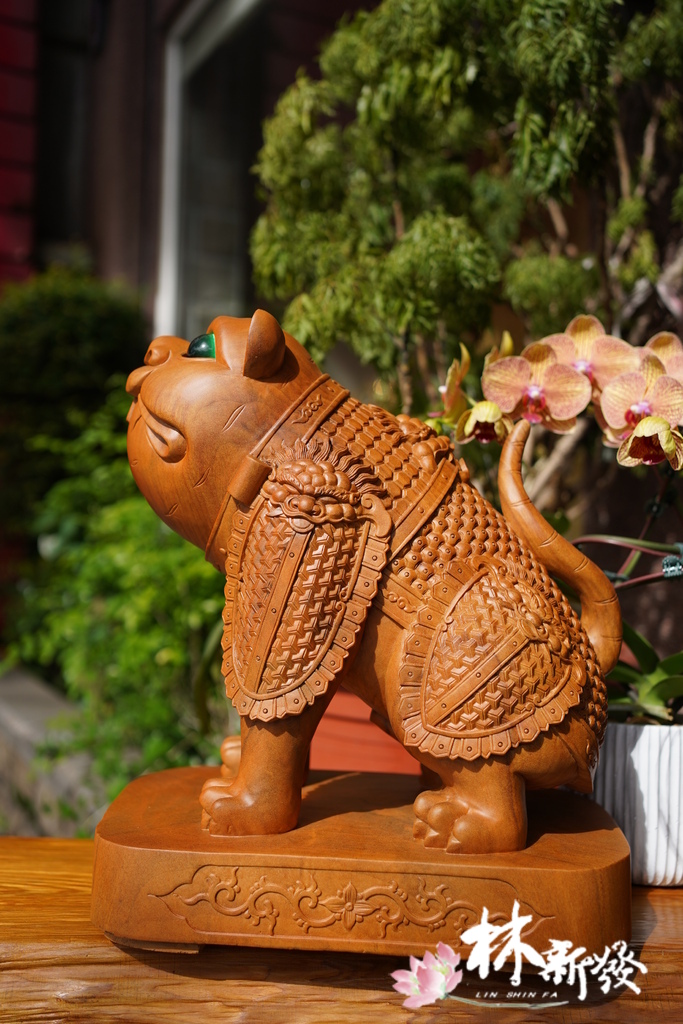 戰神小虎-007.JPG