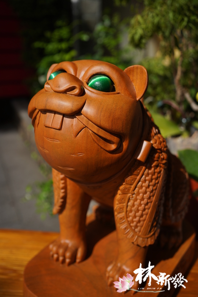 戰神小虎-008.JPG