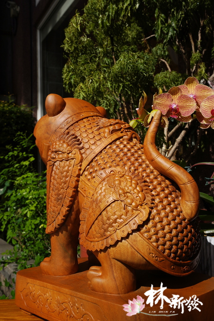戰神小虎-010.JPG