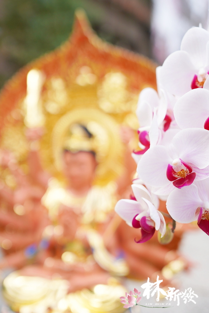 李師姐的準提佛母-006.JPG 李師姐的準提佛母-006.JPG