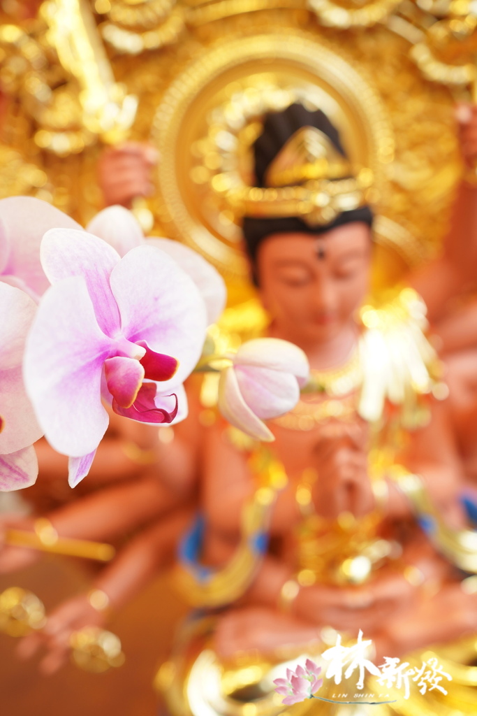李師姐的準提佛母-011.JPG 李師姐的準提佛母-011.JPG