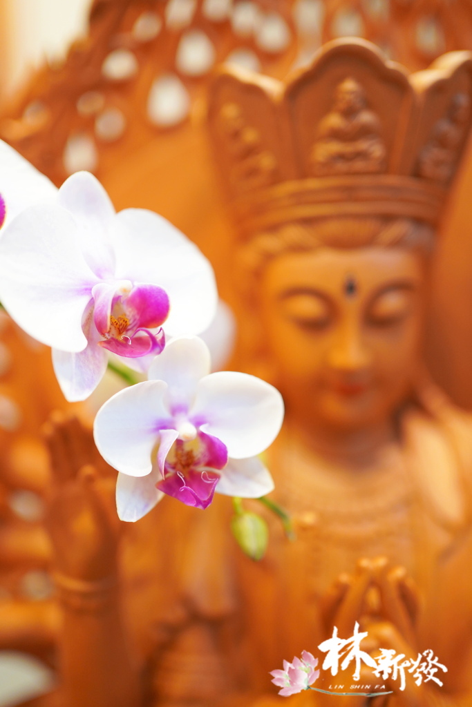 2022店內的尺六。十八手準提 -006.JPG 2022店內的尺六。十八手準提 -006.JPG