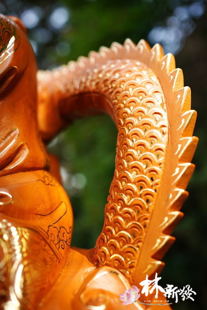 20240518-祥龍羅漢-008.JPG 20240518-祥龍羅漢-008.JPG