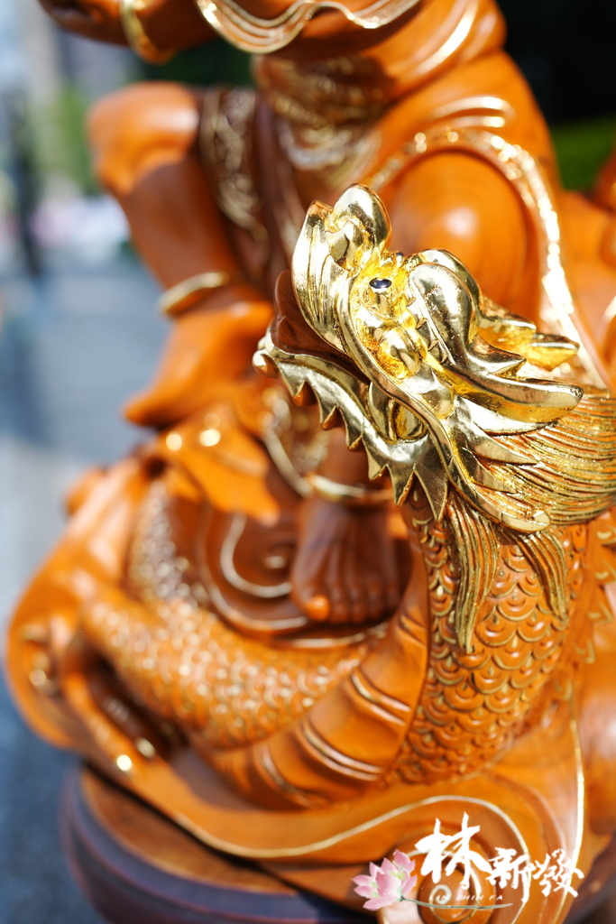 20240518-祥龍羅漢-007.JPG 20240518-祥龍羅漢-007.JPG