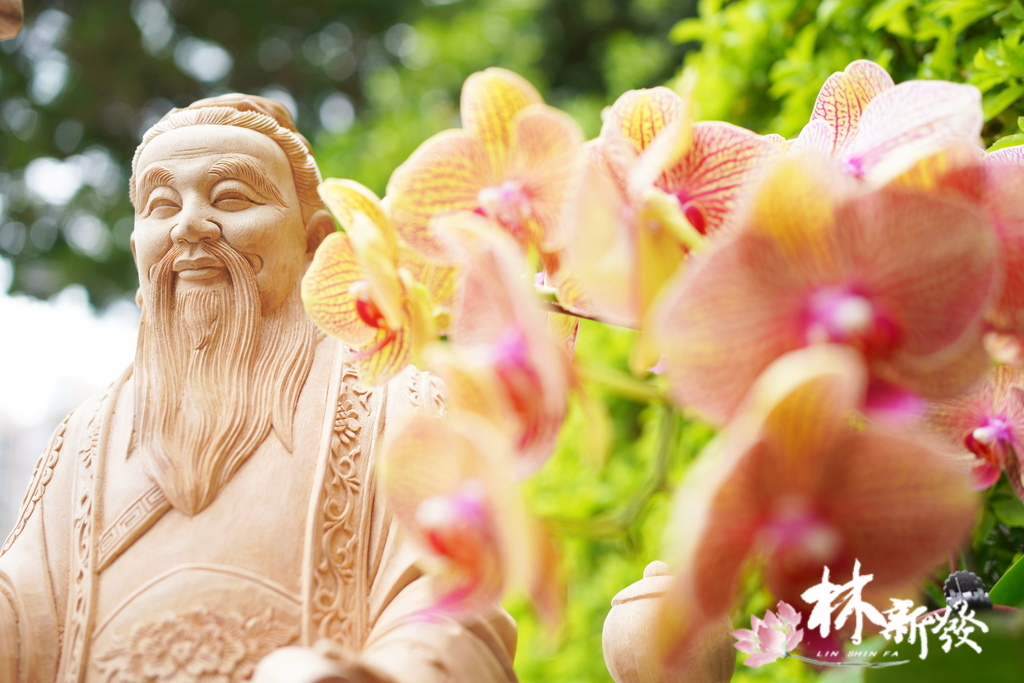 華陀．仙翁．還是月老呢-010.JPG