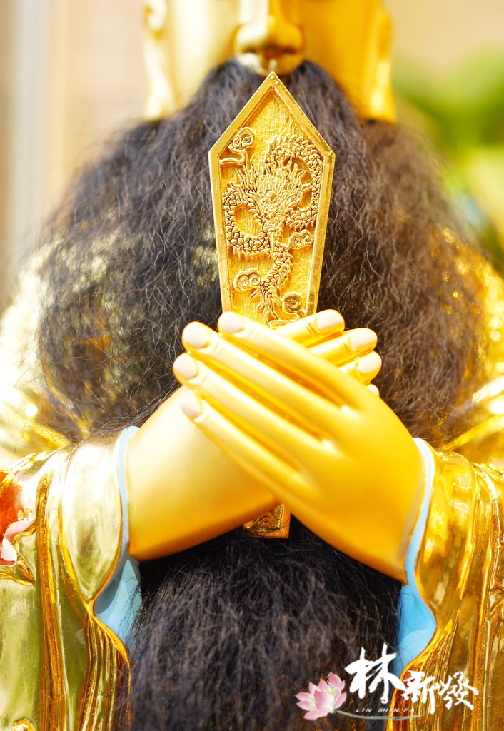 20241214-客訂金面東嶽尺六 (6).JPG 20241214-客訂金面東嶽尺六 (6).JPG