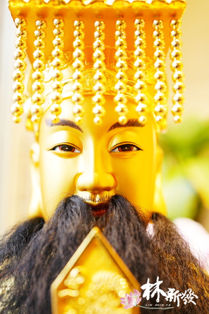 20241214-客訂金面東嶽尺六 (7).JPG 20241214-客訂金面東嶽尺六 (7).JPG