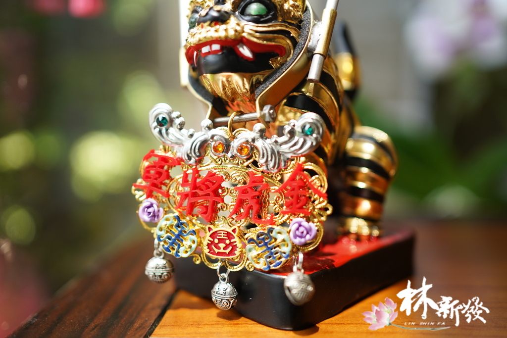 20241226-金虎春花_07.JPG 20241226-金虎春花_07.JPG