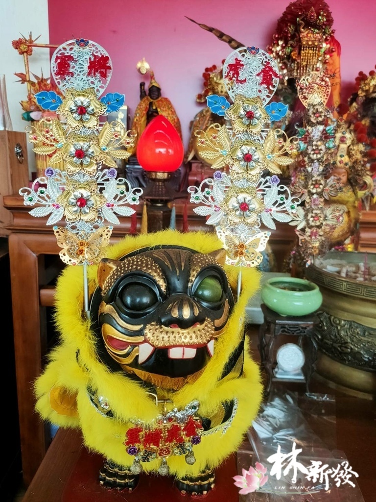 20241226-金虎春花_12.jpg 20241226-金虎春花_12.jpg