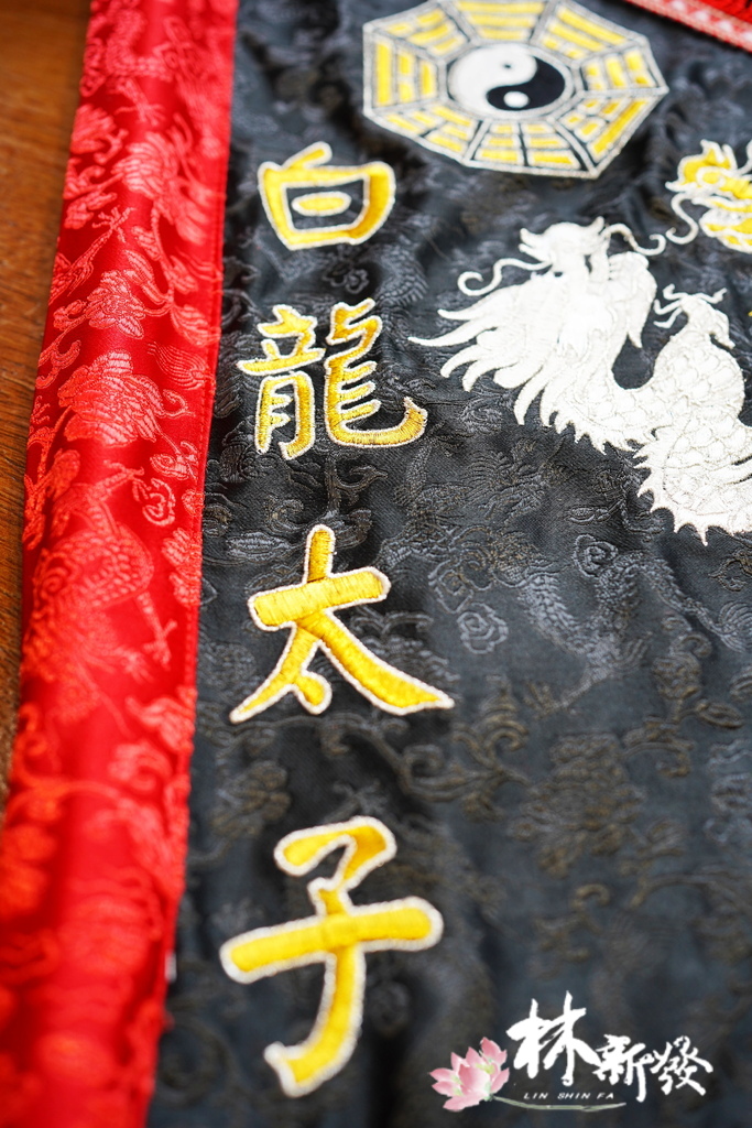 20250309-雙龍令旗集錦_36.JPG