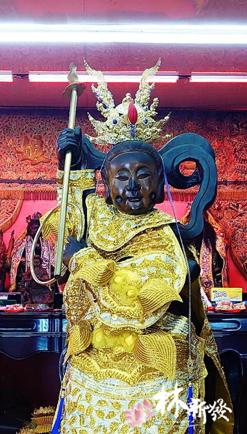 2025大尺寸束冠-011.jpg