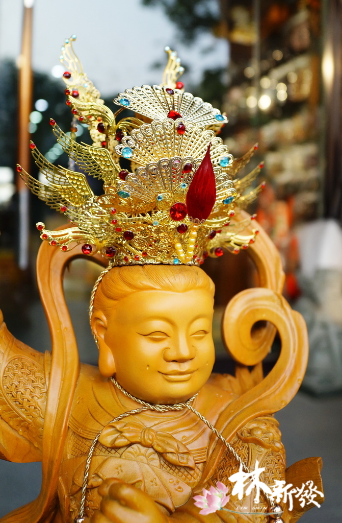 2025大尺寸束冠-031.JPG