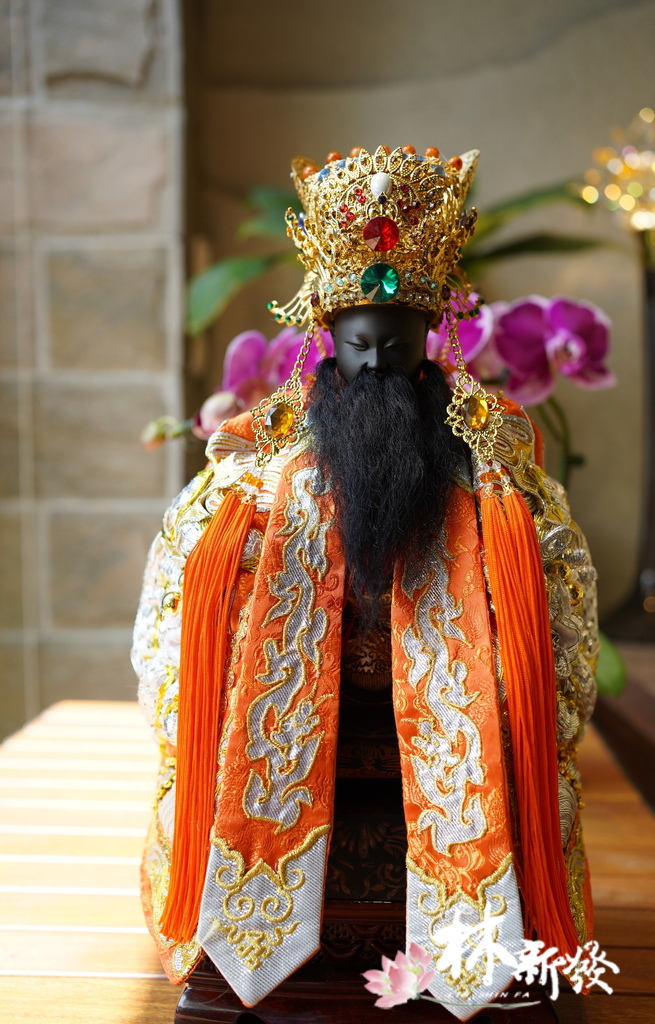 20250411-保生七星冠-001.JPG