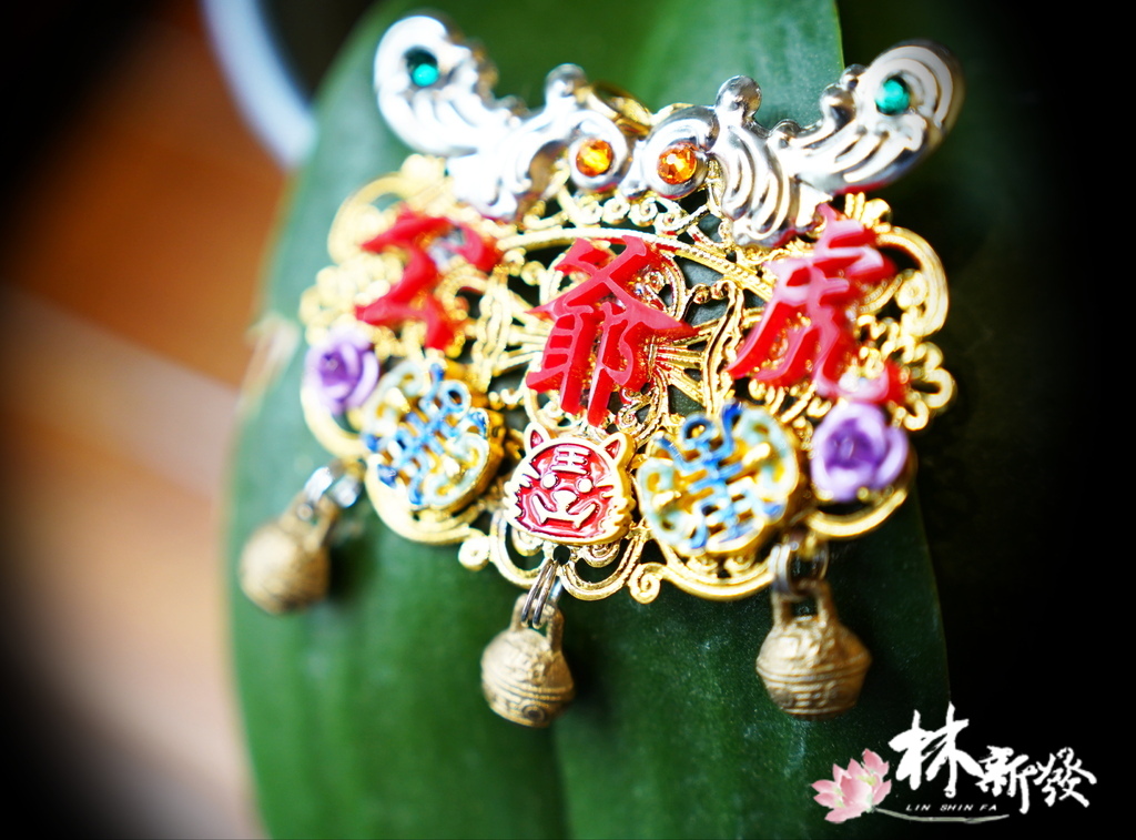 2005-新款金虎春花 (14).JPG