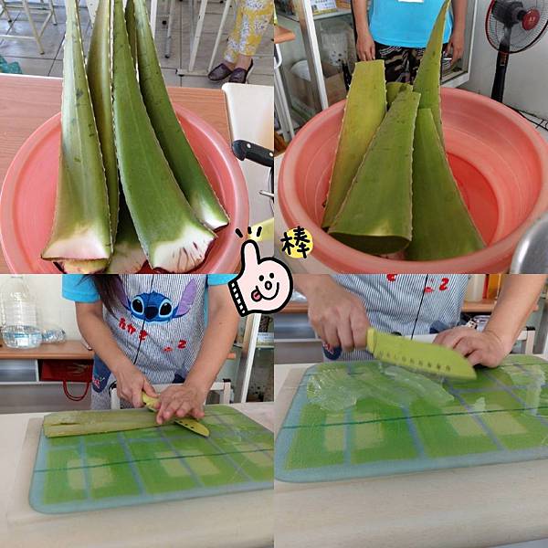 8280583563960.jpg 8280583563960.jpg