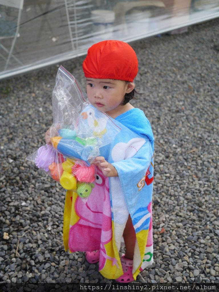 P1010590_mh1562177561625.jpg P1010590_mh1562177561625.jpg