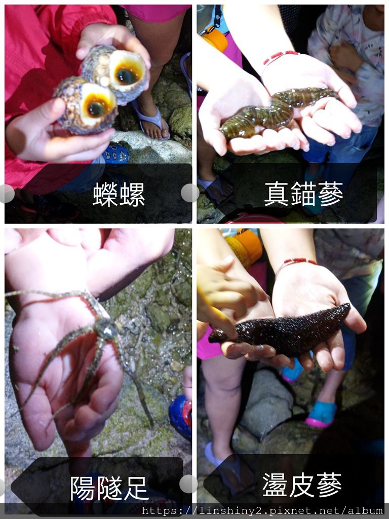 pt2019_07_04_03_54_04_mh1562184041592.jpg pt2019_07_04_03_54_04_mh1562184041592.jpg