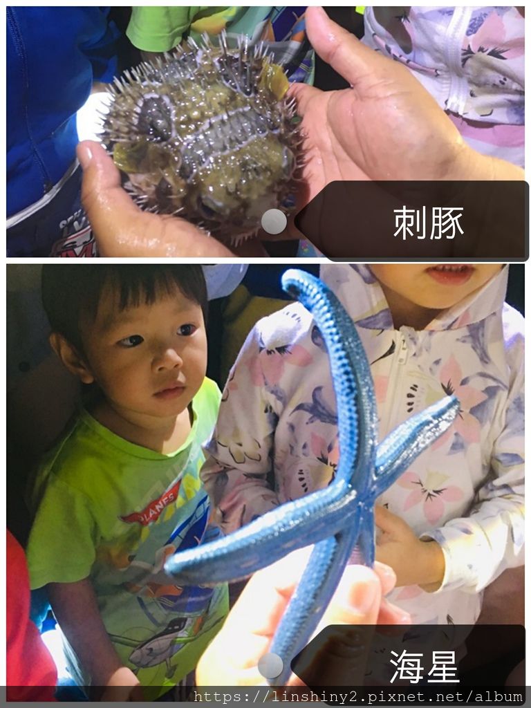 pt2019_07_04_03_54_43_mh1562184094886.jpg pt2019_07_04_03_54_43_mh1562184094886.jpg