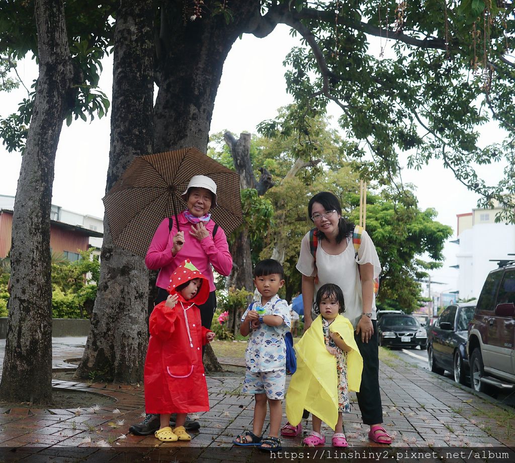 P1010818_mh1562184855545.jpg P1010818_mh1562184855545.jpg