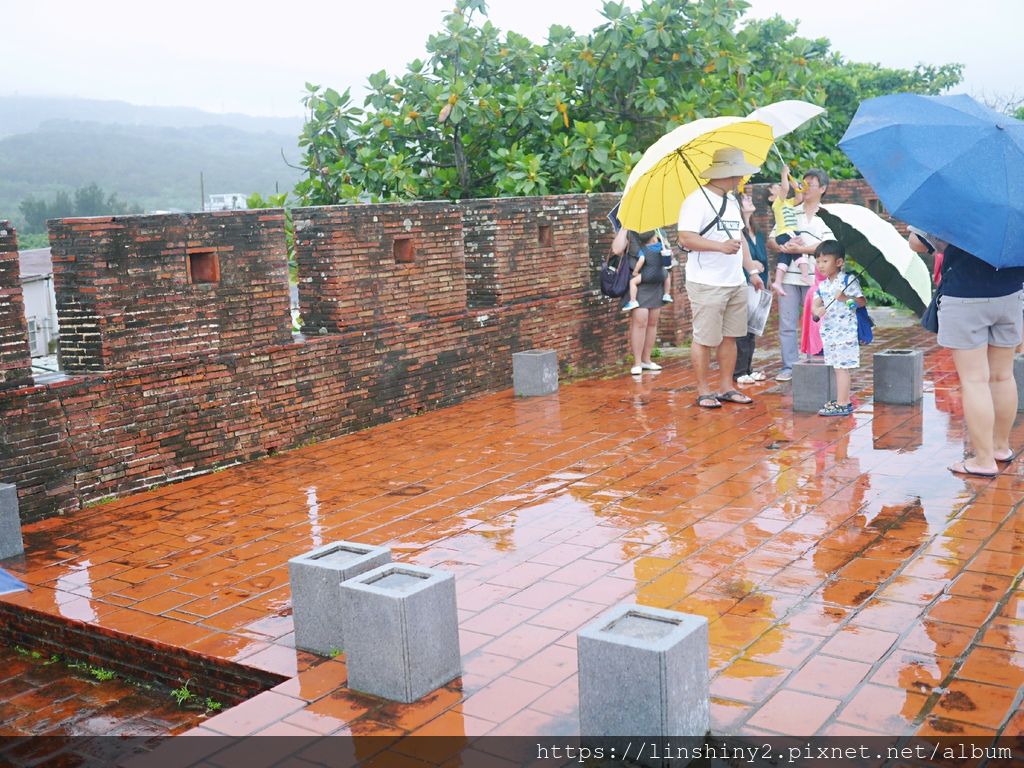 P1010795_mh1562184763156.jpg P1010795_mh1562184763156.jpg