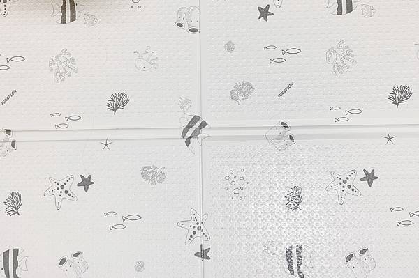 S__4849707.jpg S__4849707.jpg