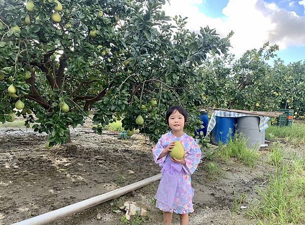 C20EC690-5C20-4EB4-B59E-5DE23C2F1FD3.jpg C20EC690-5C20-4EB4-B59E-5DE23C2F1FD3.jpg