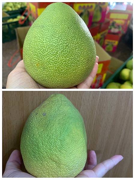 S__17252369.jpg S__17252369.jpg