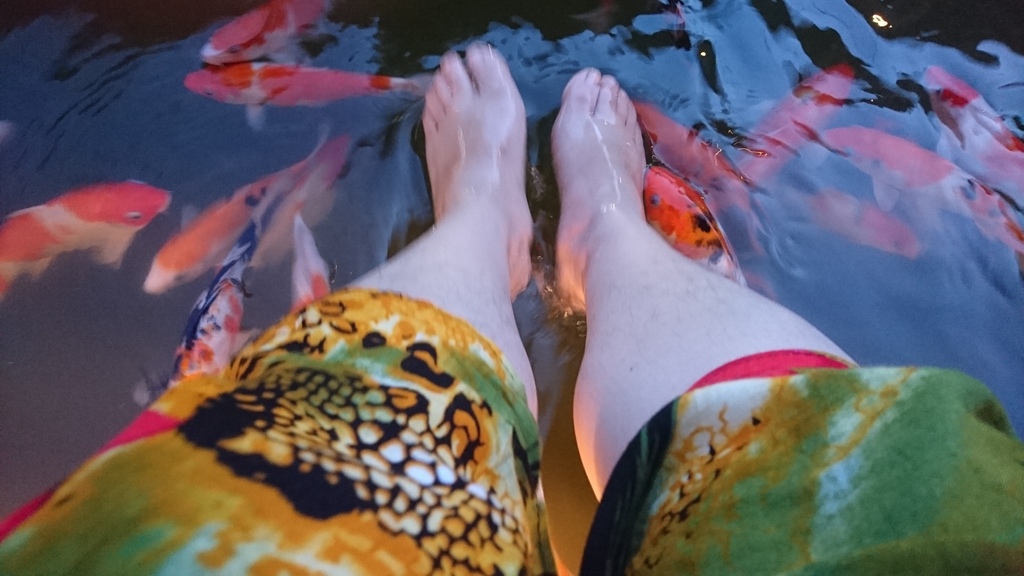 據說這裡的錦鯉,竟然會吃人們的"腳皮",雖然半信半疑,但還是把腳泡進池子裡,讓它們啃去我們這一天的疲累~😂😂😂。