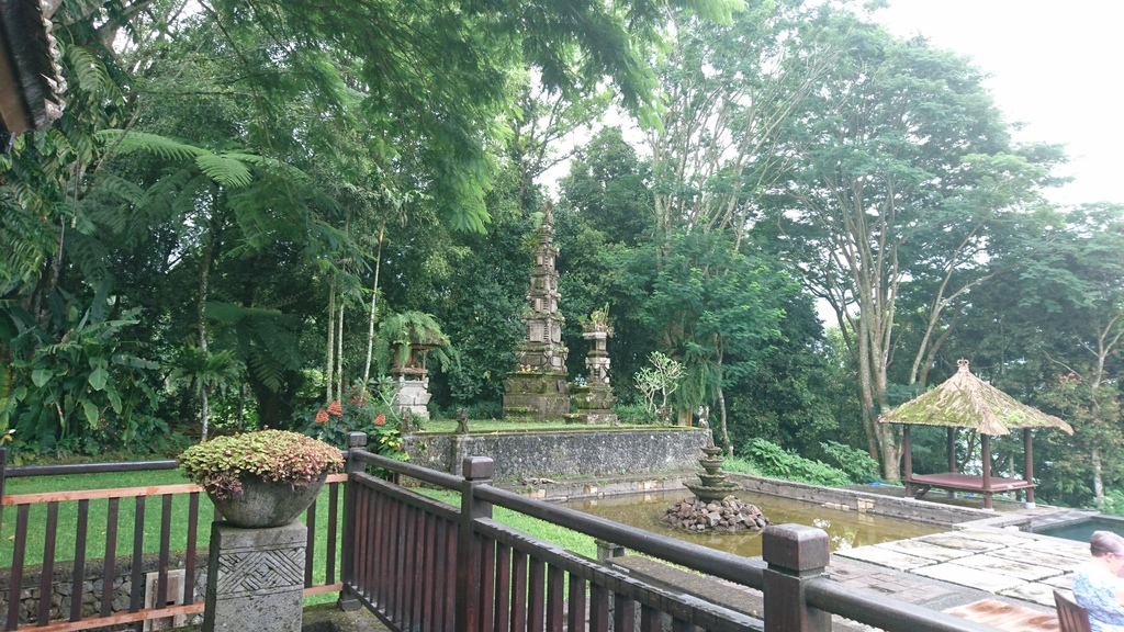 raw-image