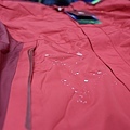 DPP_0029.jpg