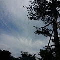 20140518_080411.jpg