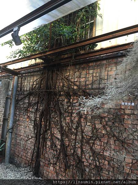 E52D18E4-B785-46D6-A765-0A4ADC5D3A4B.jpg E52D18E4-B785-46D6-A765-0A4ADC5D3A4B.jpg