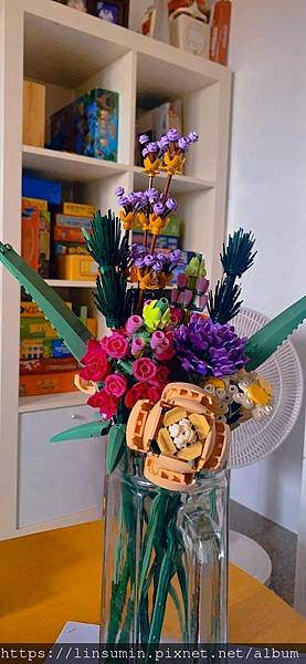 310458512_510757091059523_7147094847130605287_n