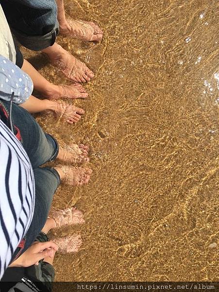 310687100_525944679540764_754144721477474036_n