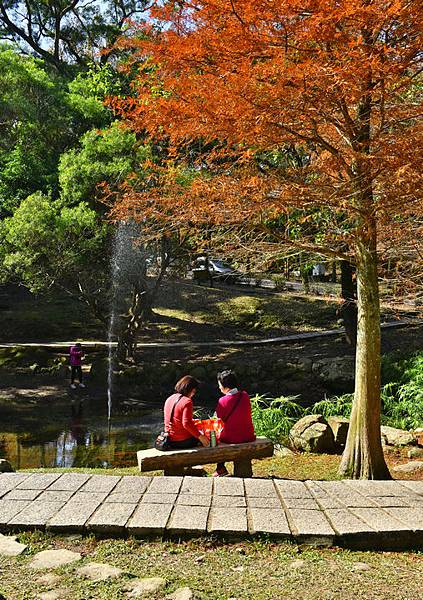 石門水庫--1223.JPG