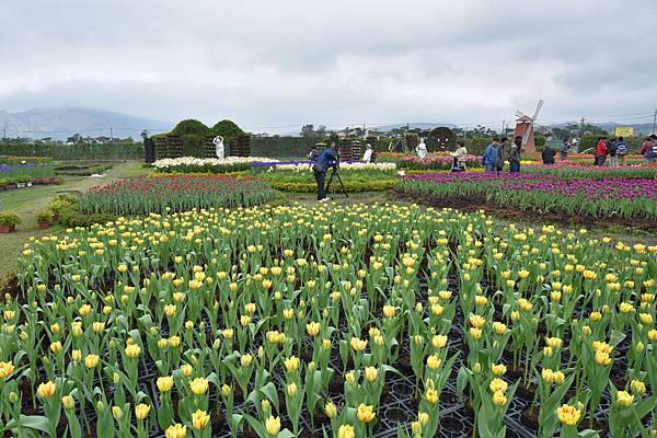 中社花園--1040.jpg