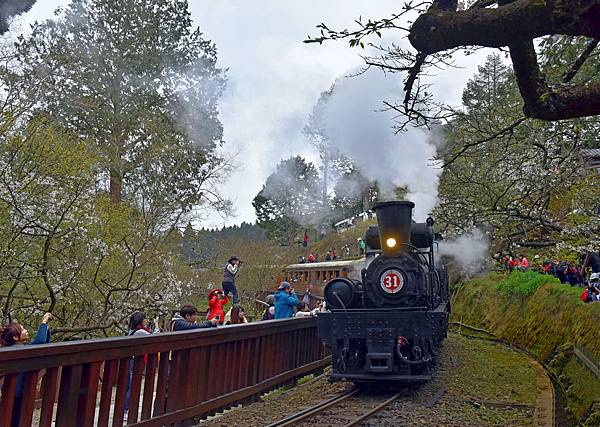 29.阿里山火車--1132.jpg