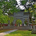 嘉義公園--1270.jpg