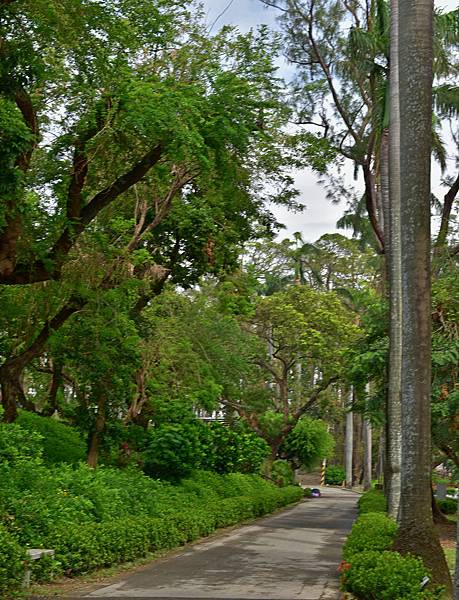 台南公園--19300.JPG