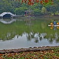 台南公園--19309.JPG