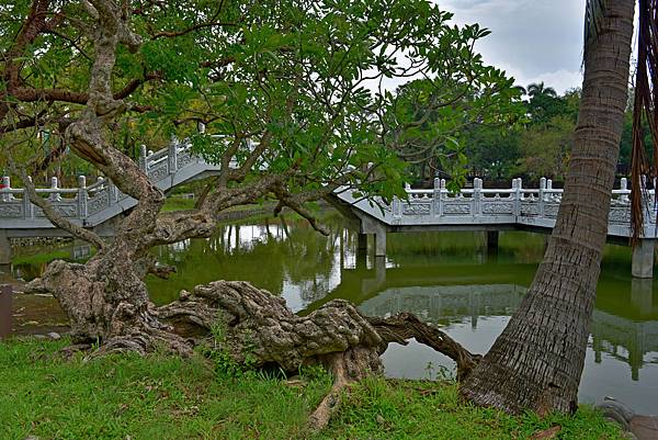 台南公園--19331.JPG