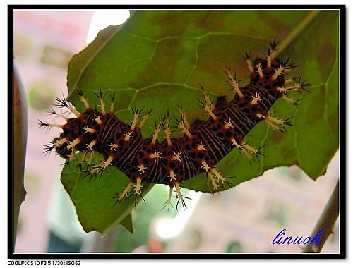 547916290_m 547916290_m