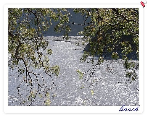 547725203_m.jpg 547725203_m.jpg