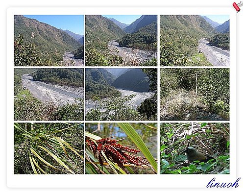 547706188_m.jpg 547706188_m.jpg