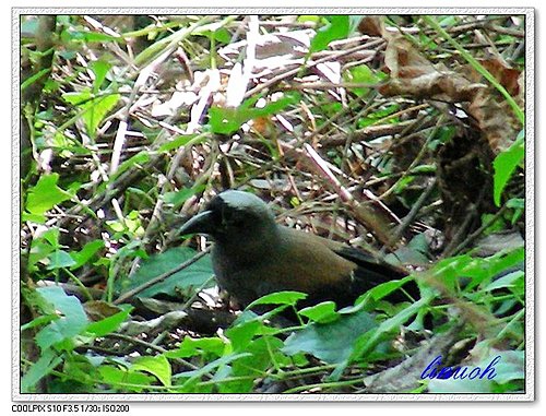 547742128_m.jpg 547742128_m.jpg