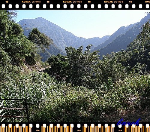 547748650_m.jpg 547748650_m.jpg